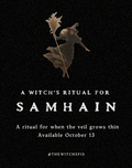 Samhain Ritual Coffin